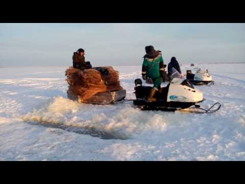 Видео: Карась на невод, отличный улов
