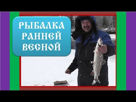 Видео: Рыбалка ранней весной