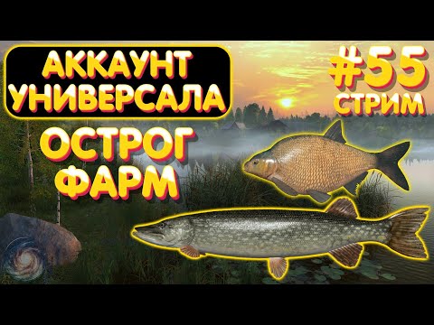 Видео: Острог ФАРМ 🔥 Аккаунт универсала #55 стрим 🎁 Бокс с премом на TROVO 🎁 Русская Рыбалка 4 рр4 #1118