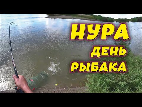 Видео: День рыбака на Нуре - Клёвые места - Зачётная Рыбалка