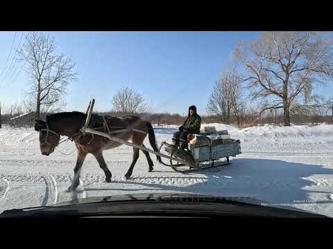 Видео: д. Север, Колпашевский р-н