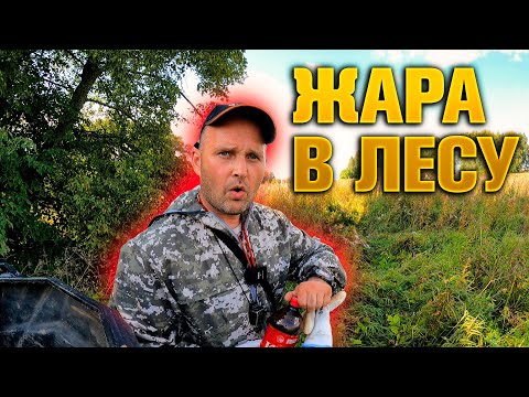 Видео: УДАЧНО ЗАЕХАЛ В ЛЕС. ПРОБИВАЮ СТАРУЮ ДОРОГУ.