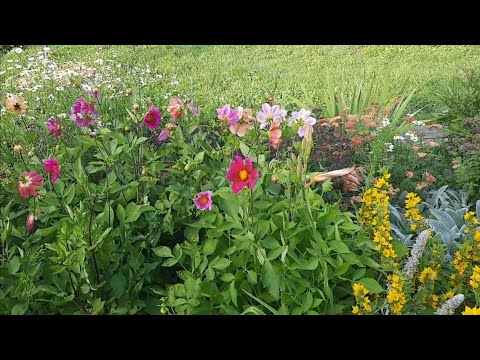 Видео: Сделали отопление в домике! Покрасила буфет! Чудо лоток для кошек! Отдых!❤️