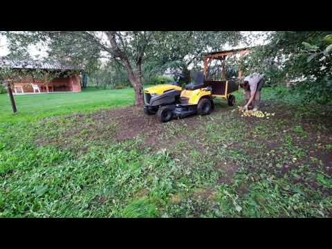 Видео: Stiga с прицепом выручает. Яблочный Спас: спасу от яблок нет.