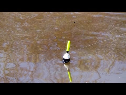 Видео: РЕКА и УДОЧКА С ПОПЛАВКОМ, что может быть лучше?! / Оснастка поплавочной маховой удочки Рыбалка
