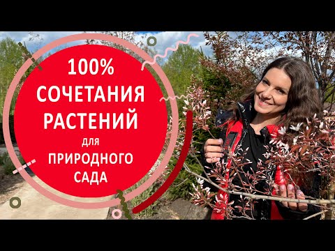 Видео: 100% сочетания растений для сада в природном стиле