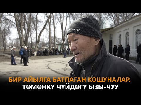 Видео: БИР АЙЫЛГА БАТПАГАН КОШУНАЛАР. ТӨМӨНКҮ ЧҮЙДӨГҮ ЫЗЫ-ЧУУ