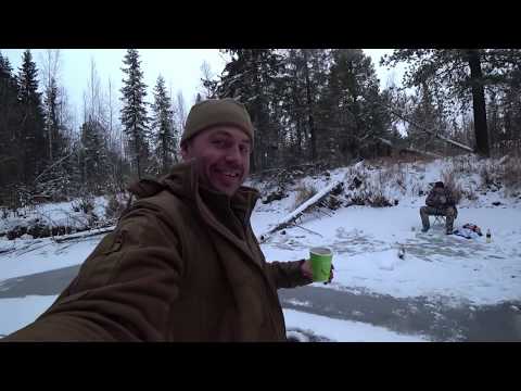 Видео: РЫБАЛКА  НА ОКУНЯ В СИБИРИ  (ХМАО)  2019 ОСЕНЬ ОНИ НЕ ЛЕЗУТ В ЛУНКУ