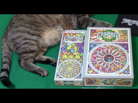 Видео: Правила настольной игры Саграда с расширением на 5 6 игроков