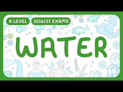 Видео: Биология уровня A – Вода: структура и функции (экзамены 2026/27)