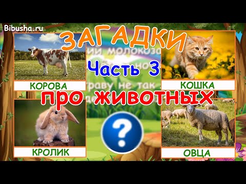 Видео: ЗАГАДКИ ПРО ЖИВОТНЫХ - Часть 3 | Загадки для детей