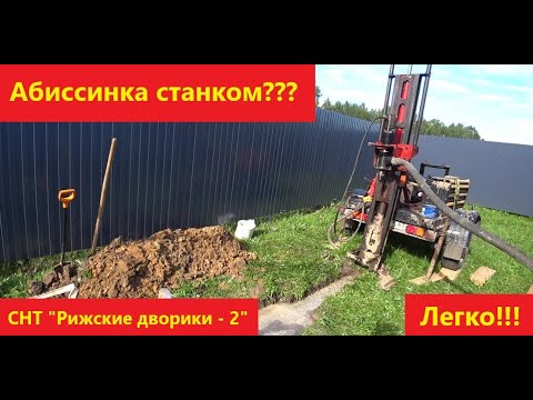 Видео: Хорошая абиссинка. СНТ Рижские дворики-2.