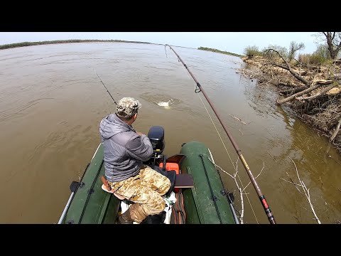 Видео: Оказались в нужном месте с нужными снастями. Рыбалка 2023 река Амур