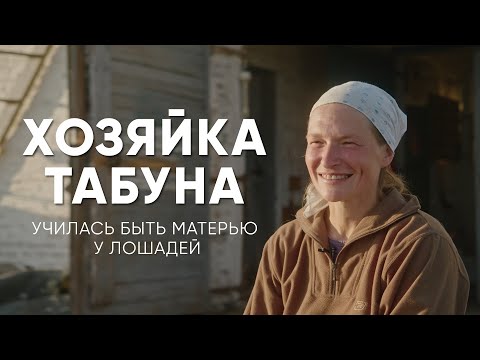 Видео: Училась быть матерью у лошадей: история хозяйки табуна