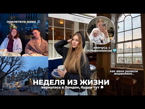 Видео: VLOG: лондонские будни | нянчусь с малышом | что с работой?
