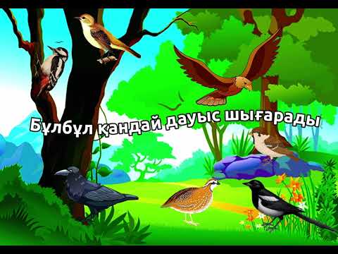 Видео: Бұлбұл қандай дауыс шығарады?