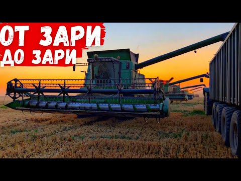 Видео: Самая Масштабная Уборка Урожая 2021! Такого Ты Ещё ТОЧНО НЕ ВИДЕЛ!