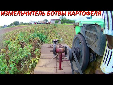 Видео: Кромсаю БОТВУ картофеля!