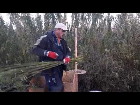 Видео: Дополнение к сортировке прута на ленту