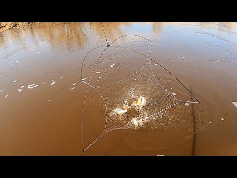 Видео: ДА ТУТ РЫБЫ БОЛЬШЕ ЧЕМ ВОДЫ! ТУЧИ КАРАСЕЙ ПЛАВАЮТ ПРЯМО ПОД НОГАМИ. Рыбалка на паук-подъёмник