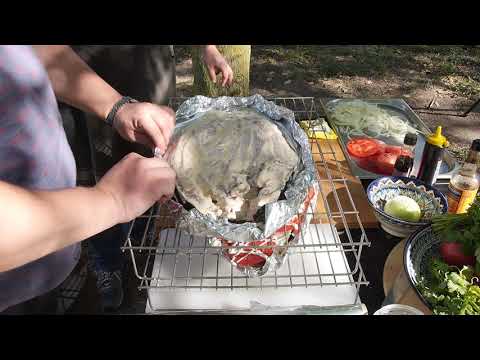 Видео: Коктал по Кавказски. Кавказдағы Көктал.