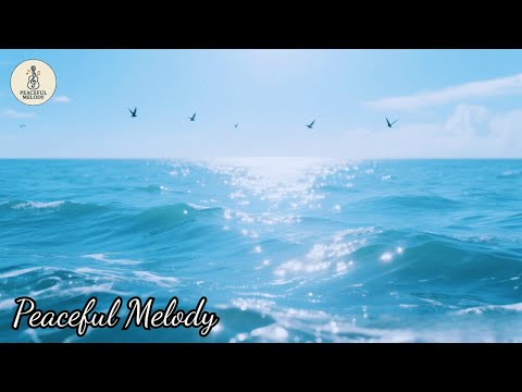 Видео: С каждым аккордом ты чувствуешь себя ближе к свету ✨ | Музыка Сергея Грищука