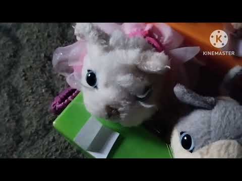 Видео: Сэм в школе кэтов