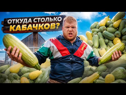 Видео: ОТКУДА СТОЛЬКО КАБАЧКОВ?