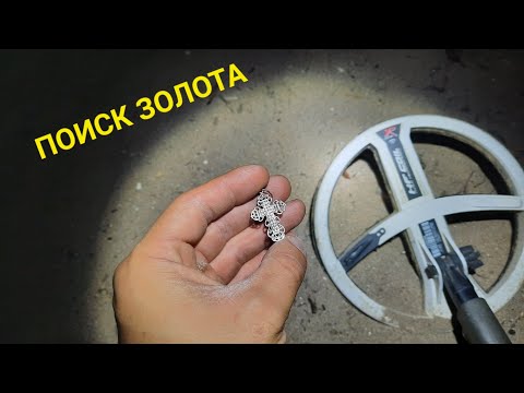 Видео: НОЧНОЙ ПОИСК ЗОЛОТА И СЕРЕБРА НА ПЛЯЖЕ С МЕТАЛЛОИСКАТЕЛЕМ Xp Deus. ПЛЯЖНЫЙ КОП 2023
