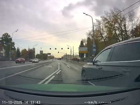 Видео: Олень на китайце не видит куда едет .