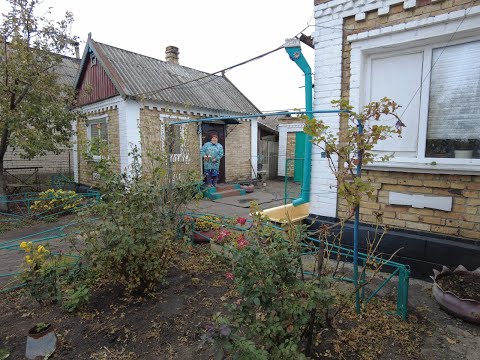 Видео: Рябина черная🍂В селе у СВЕКРУНЬКИ /Розы/🌹🙋‍♀️