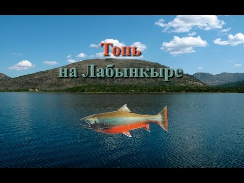 Видео: Русская Рыбалка 3.99 Топь на Лабынкыре