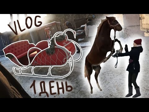 Видео: Один день из жизни КОННИКА/Покаталась на санях/Неудачная работа в руках
