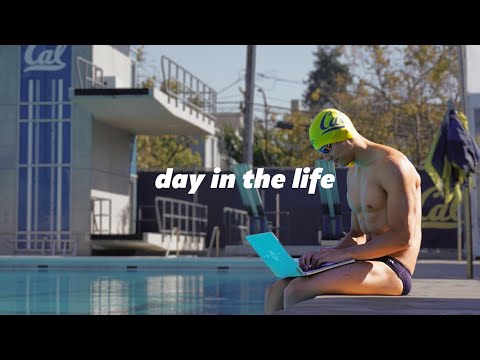 Видео: День из жизни инженера-программиста, готовящегося к Олимпиаде