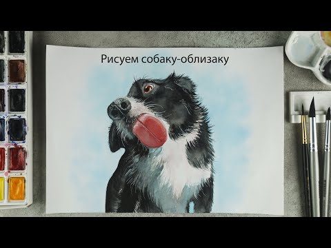Видео: Рисуем смешную собаку акварелью