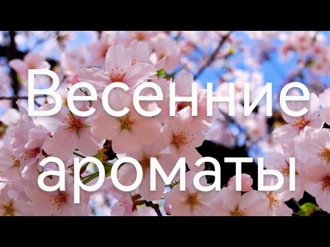 Видео: Весенние ароматы #аромат #парфюм #весна #духи #aroma #perfume #spring #beauty