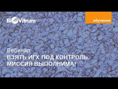 Видео: "Взять ИГХ под контроль. Миссия выполнима!"