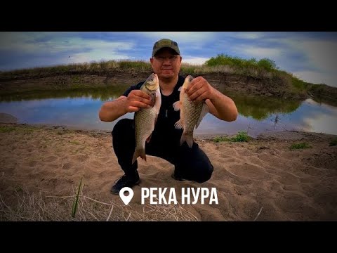 Видео: ЯЗЬ ЛОМАЕТ СПИНИНГ. МОЩНЫЕ ПОКЛЕВКИ КАРАСЯ И ЯЗЯ НА ДОНКИ. РЕКА НУРА.
