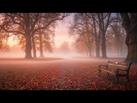 Видео: Туман