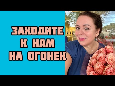 Видео: Кто не спит?