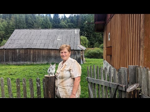 Видео: Трогательная история о жизни пожилой женщины в горах, Вдали от Цивилизации.