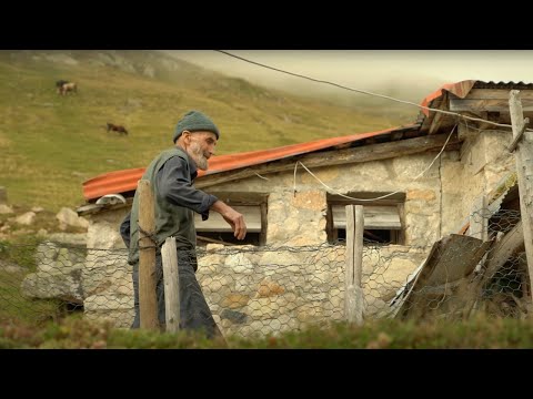 Видео: Древние диковинные жизни - документальный фильм о горных районах - 100 лет истории - Жизнь в природе