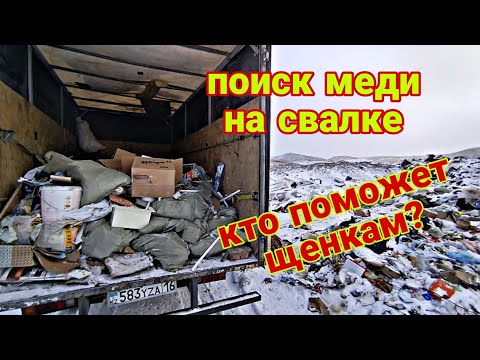 Видео: поиск меди на свалке, отличный результат, что привез домой с мусорки на этот раз!? 8 ноября 2024г.