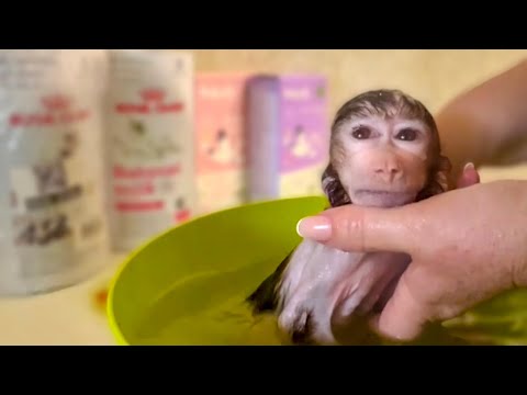 Видео: Первое купание Степки, малыш наконец-то смог согреться!