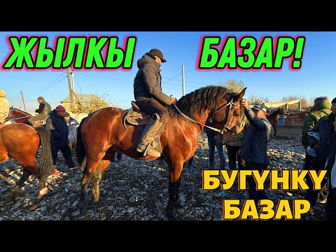 Видео: ӨЗГӨН ЖЫЛКЫ БАЗАР УШУНДАЙ 🤯 #байтв 