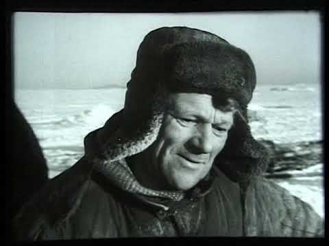 Видео: Киножурнал Советская Карелия 1967 Февраль