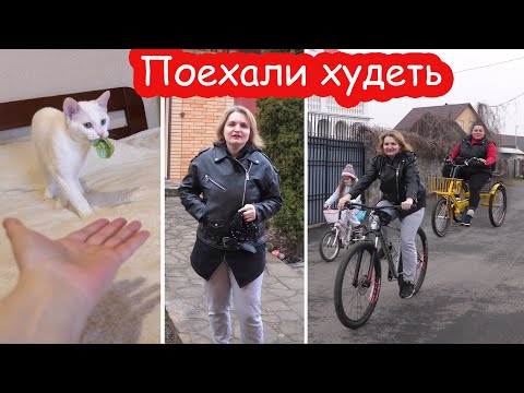 Видео: VLOG У нас появился котопёс. Начинаем с Надей заниматься спортом