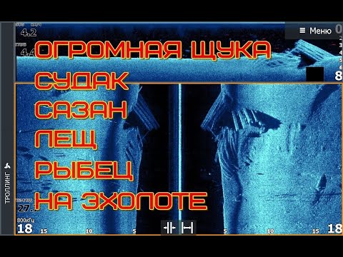Видео: разбор скриншотов эхолота, как выглядит рыба и как по ней выставиться