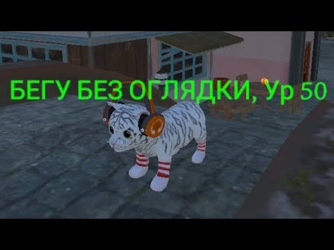 Видео: Я vs ОХОТНИКИ | Cat simulator