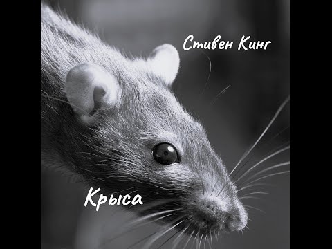 Видео: Стивен Кинг - Крыса. Часть 1.